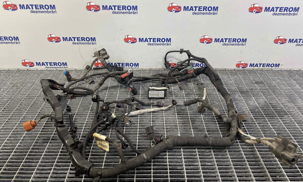 INSTALATIE ELECTRICA FORD FIESTA VI 2008-2017