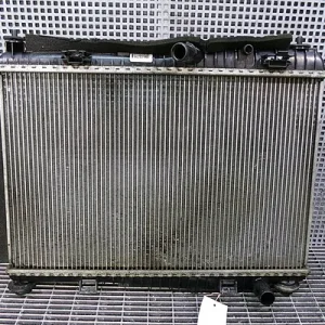 RADIATOR MOTOR