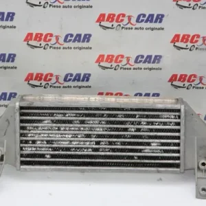 Radiator intercooler
