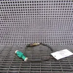 SONDA LAMBDA FORD FOCUS II 1.8 2004-2013 oe-3M519F472AC, vedere laterala
