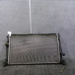 RADIATOR MOTOR