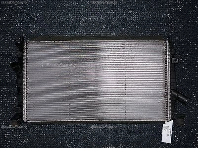 RADIATOR MOTOR