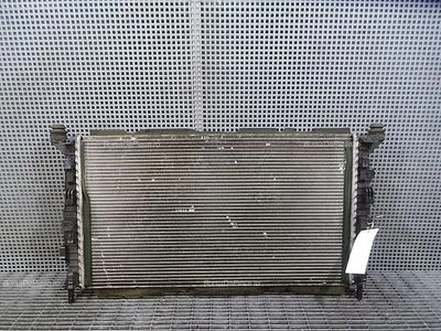 RADIATOR MOTOR