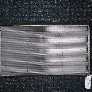 RADIATOR MOTOR