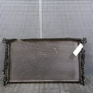 RADIATOR MOTOR