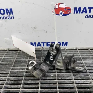 BALAMA USA SPATE