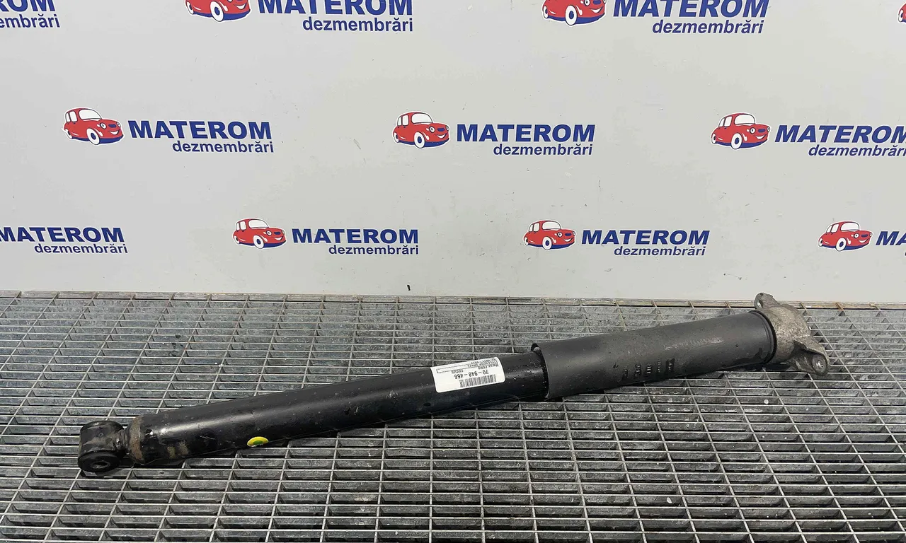 TELESCOP SPATE FORD FOCUS III 2010-2020