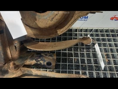 TENDON SPATE