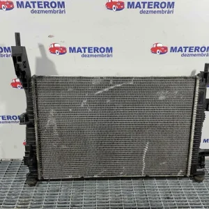 RADIATOR MOTOR