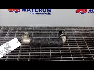 TEAVA EGR