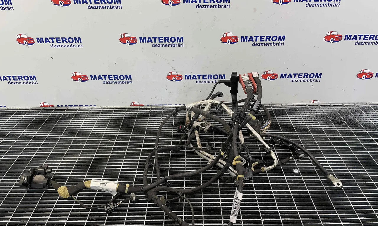 BORNA ACUMULATOR FORD FOCUS IV 2018-2020