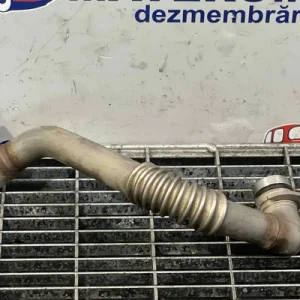 TEAVA EGR