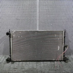 RADIATOR MOTOR