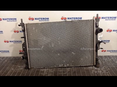 RADIATOR MOTOR