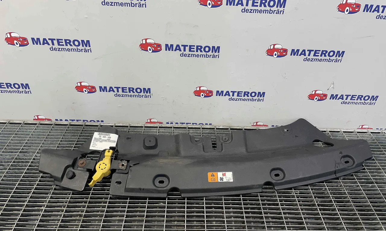 ORNAMENT SUPERIOR RADIATOARE FORD KUGA II VAN 2012-2019