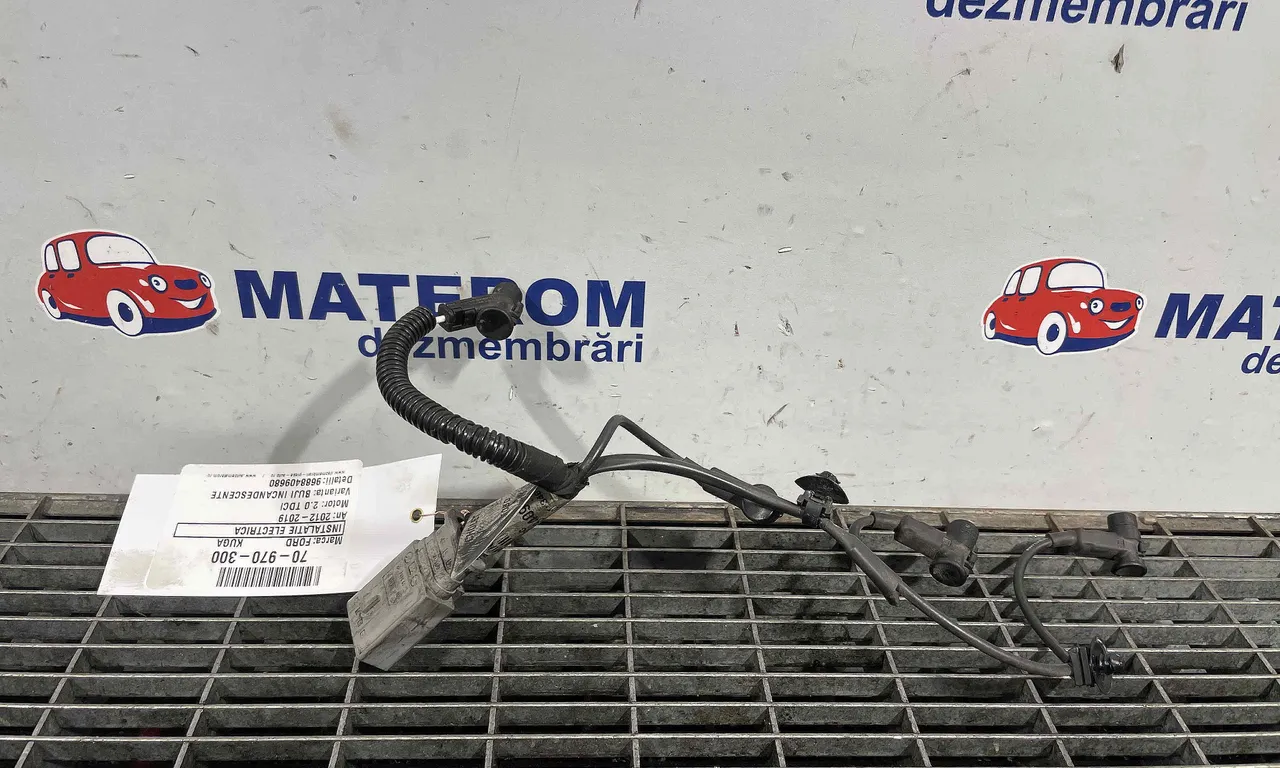 INSTALATIE ELECTRICA FORD KUGA II VAN 2012-2019