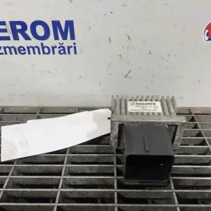 RELEU BUJII