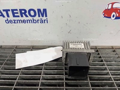 RELEU BUJII