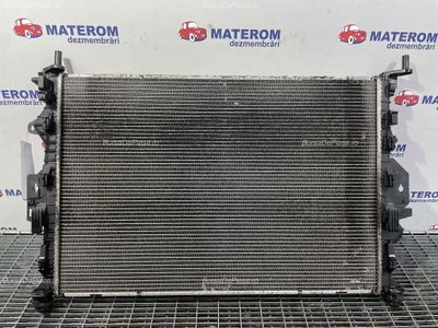 RADIATOR MOTOR