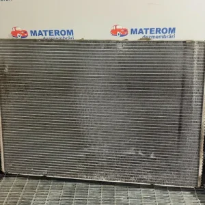 RADIATOR MOTOR