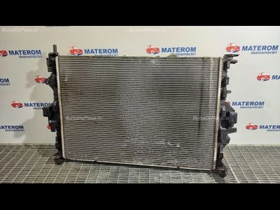 RADIATOR MOTOR