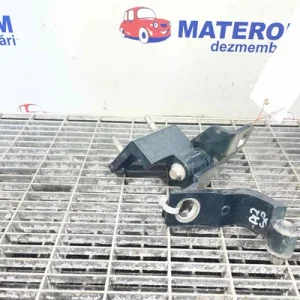 BALAMA USA SPATE