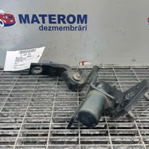 BALAMA USA SPATE