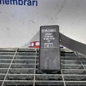 RELEU BUJII