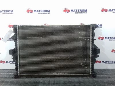 RADIATOR MOTOR