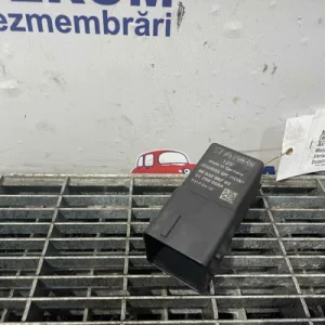 RELEU BUJII