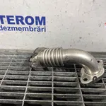 TEAVA EGR