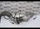 Filtru particule DPF FORD MONDEO V 2014-2026 oe F1F1-9N454-HA, vedere frontata