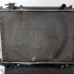 RADIATOR MOTOR