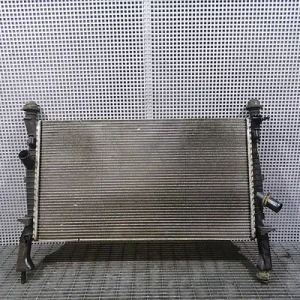 RADIATOR MOTOR