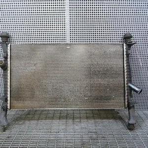 RADIATOR MOTOR