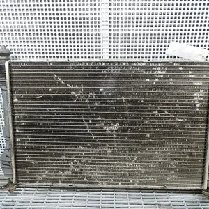 RADIATOR MOTOR