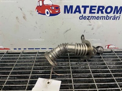 TEAVA EGR