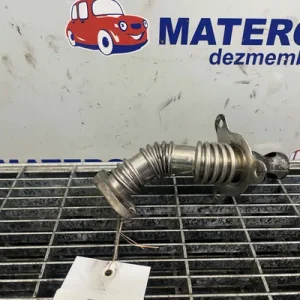 TEAVA EGR