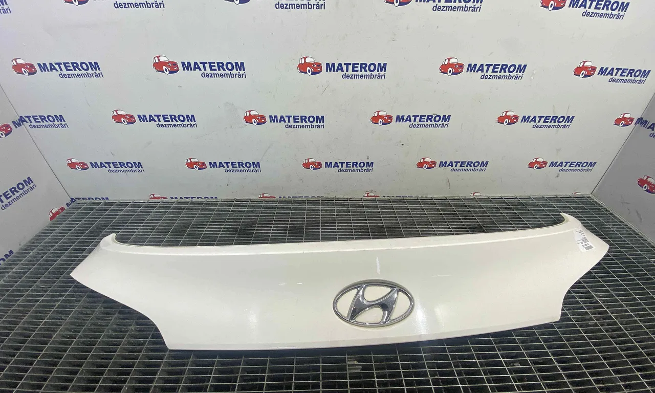 ORNAMENT HAION HYUNDAI ix35 2009-2016