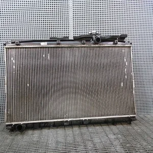 RADIATOR MOTOR