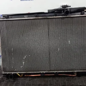 RADIATOR MOTOR