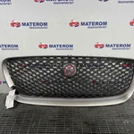 GRILA FATA JAGUAR F-PACE 2.0 TD4 2015-2020 oe-T4A13842, vedere frontata