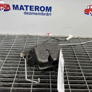 INCUIETOARE HAION