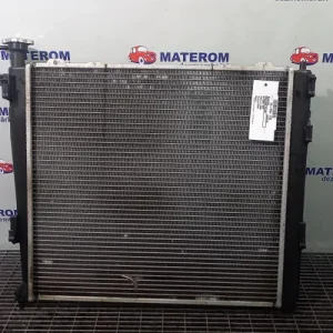 RADIATOR MOTOR
