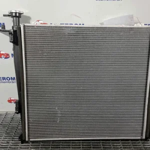 RADIATOR MOTOR