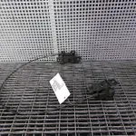 INCUIETOARE CAPOTA FATA LAND ROVER FREELANDER 2 VAN 2.2 TD4 2006-2014 oe-LR006268, vedere frontata
