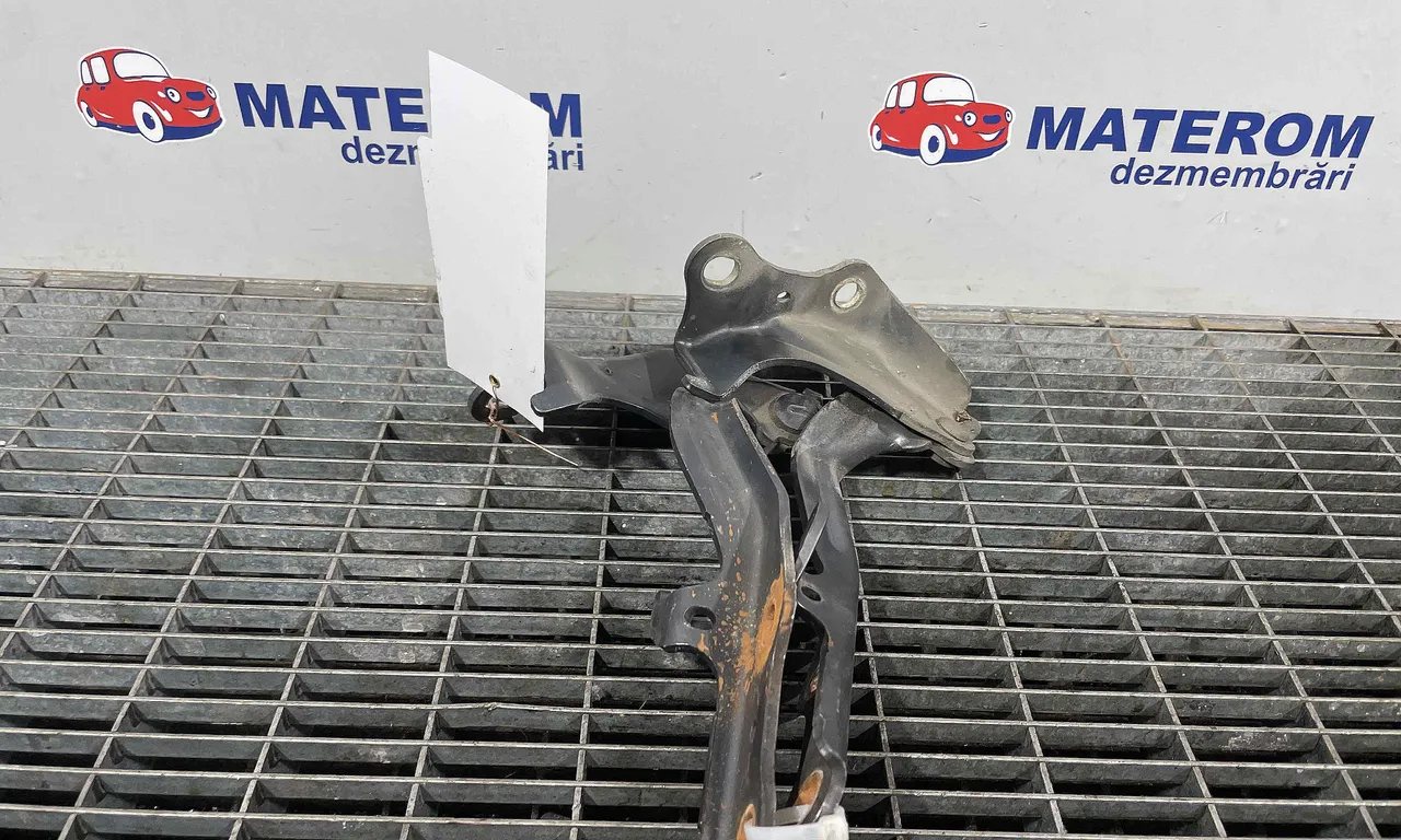 BALAMALE CAPOTA FATA LEXUS RX 2003-2008