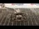 ETRIER SPATE DREAPTA MAZDA 3 1.6 DI 2003-2009 oe BPYK2661XA, vedere laterala
