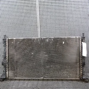RADIATOR MOTOR