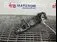 MANER USA SPATE STANGA MAZDA 3 1.6 MZR 2008-2014 oe BBM773410A, vedere laterala